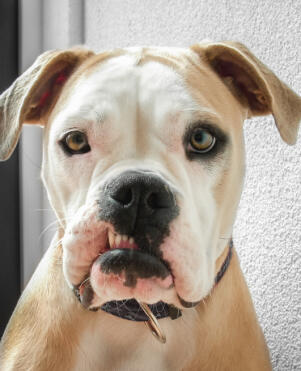 Maya Chen profile photo